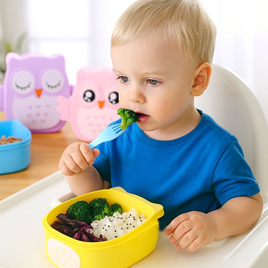 Lunch box enfant Hibou mignon dejeuner